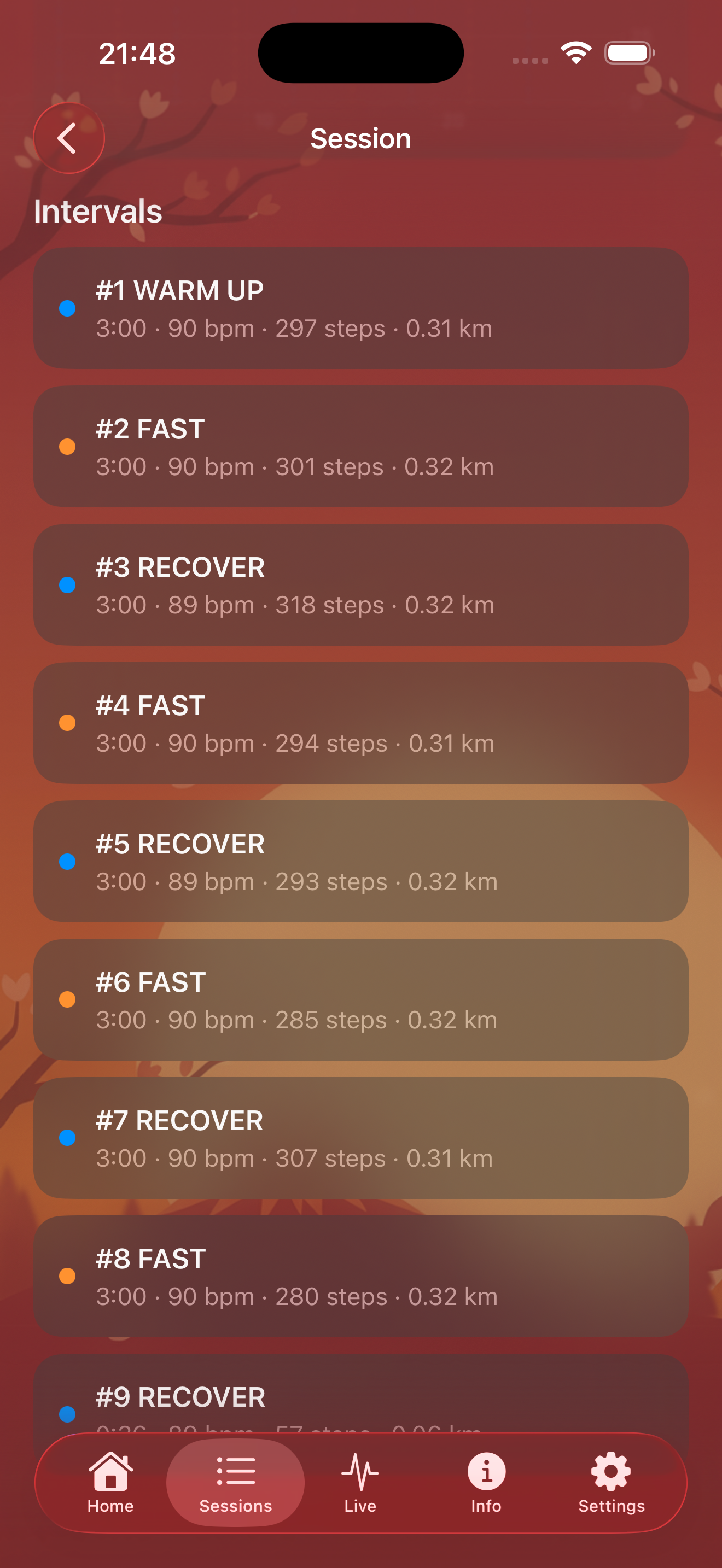 iPhone workout detail with interval overview